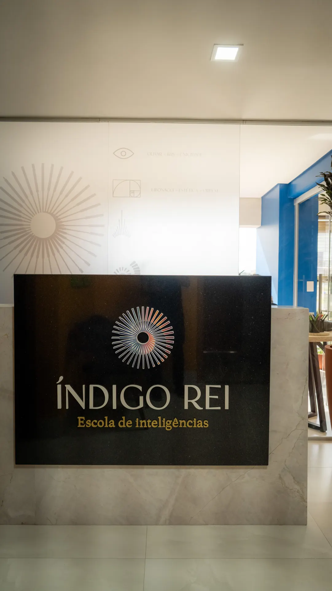 Recepção da Índigo Rei, escola de inteligências
